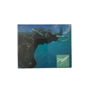 Quadrille Note Cards & Envelopes Nature Scenes Set of 16 NIB